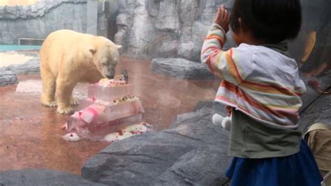 Top 10 zoos, amusement parks in Asia, according to.